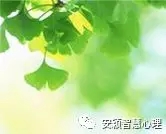 1547626290485515.jpg 640.webp (15).jpg