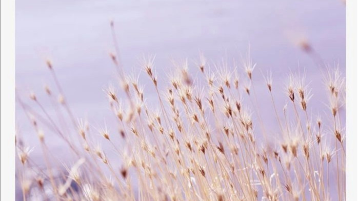 1561362220667585.jpg 微信圖片_20190616113309.jpg